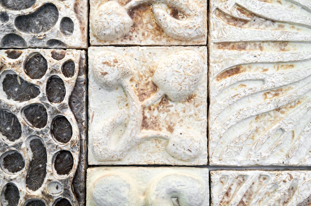 Close up photograph of decorative tiles made from mycelium.