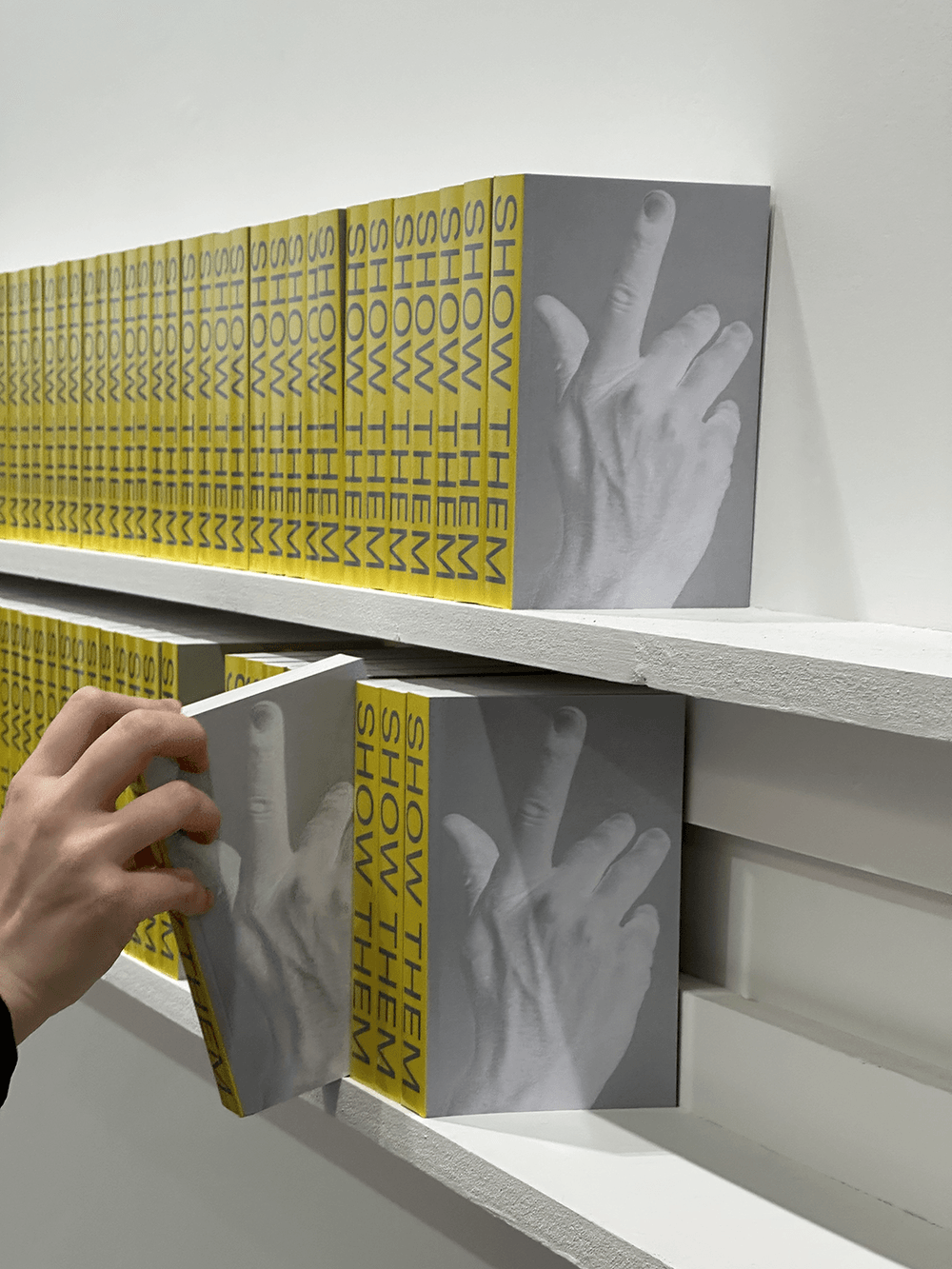 photograph of catalogues on a shelf