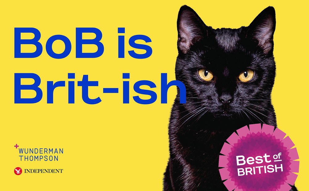 Photograph of a black cat, with the caption 'BoB is Brit-ish'