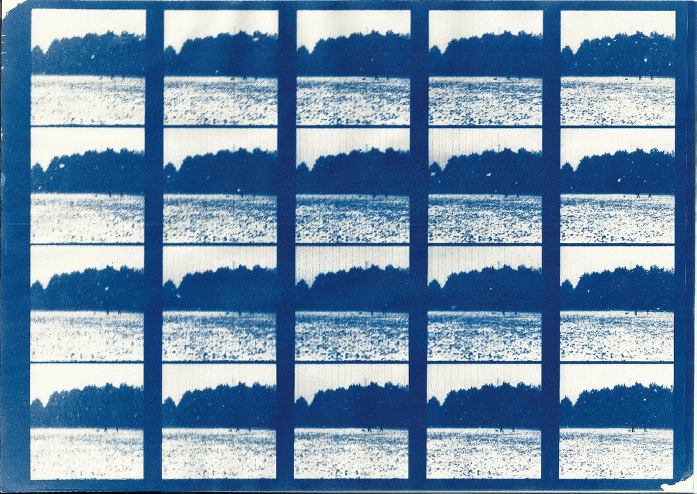 cyanotype print