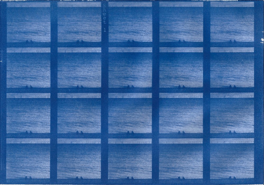 cyanotype print