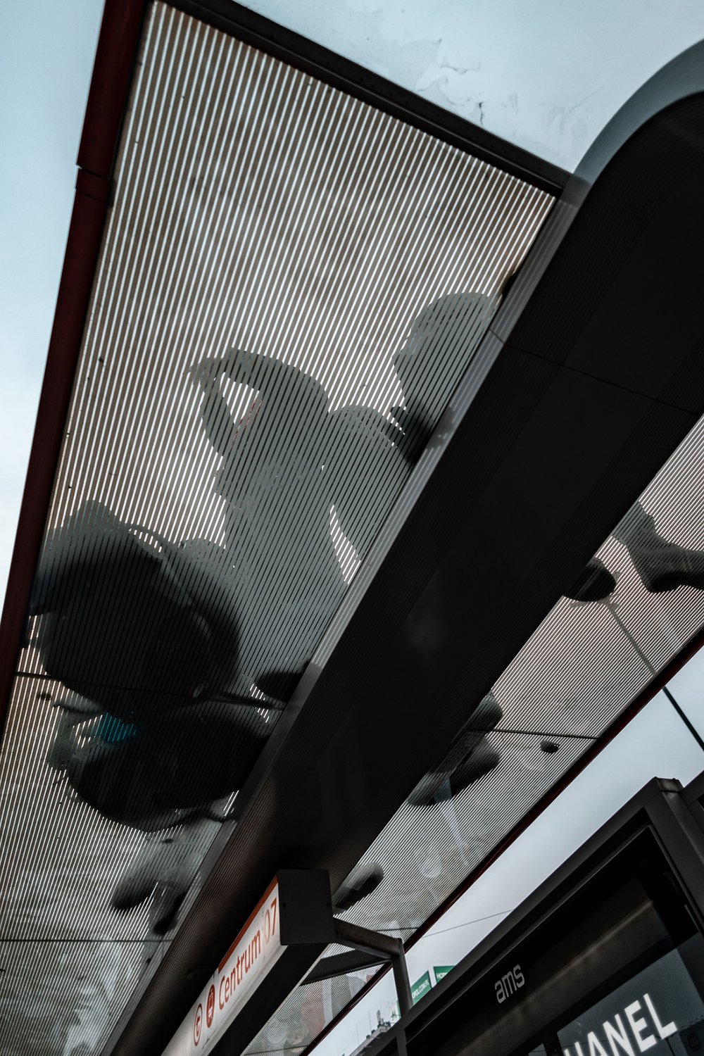 Bus shelter seen from below with silhouettes of demonstrators