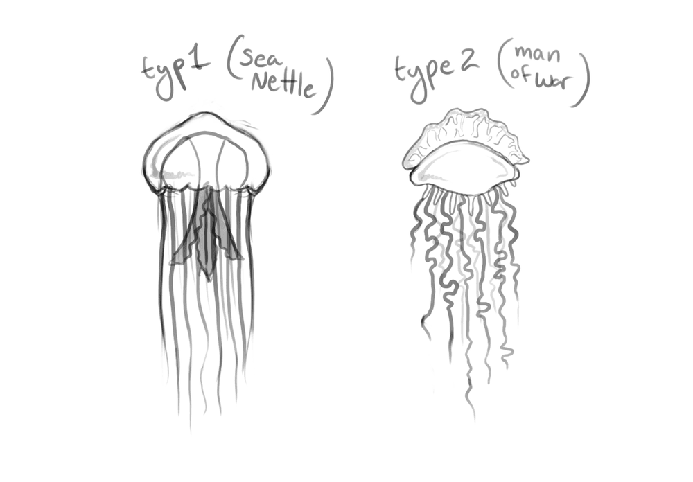 Sketches of jellyfish prototypes